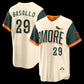 Baltimore Orioles #29 Samuel Basallo Natural 2026 City Connect Stadium Stitched Baseball Jersey
