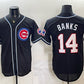 Chicago Cubs #14 Ernie Banks 150th Anniversary Black Out Style Vapor Premier Limited Stitched Jersey