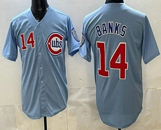 Chicago Cubs #14 Ernie Banks Baby Blue Limited Stitched Baseball Jersey