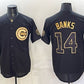 Chicago Cubs #14 Ernie Banks Black Gold 150th Anniversary Patch Stitched Jersey