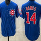 Chicago Cubs #14 Ernie Banks Blue Limited Stitched Baseball Jersey