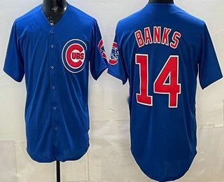 Chicago Cubs #14 Ernie Banks Blue Limited Stitched Baseball Jersey