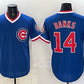 Chicago Cubs #14 Ernie Banks Royal 150th Anniversary Throwback Vapor Limited Stitched Jersey