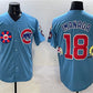 Chicago Cubs #18 Shōta Imanaga Blue 2025 Tokyo Series 2nd Alternate Limited Stitched Baseball Jersey