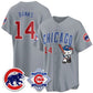 Chicago Cubs #14 Ernie Banks Gray Puhics Meow KT All Stitched Jersey