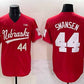 N.Huskers #44 Gabe Swansen Red Back 2 Back Champions Patch Vapor Premier Limited Stitched American College Jerseys