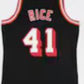 M.Heat #41 Glen Rice 1994-95 Black Hardwood Classic Swingman Stitched American Basketball Jersey