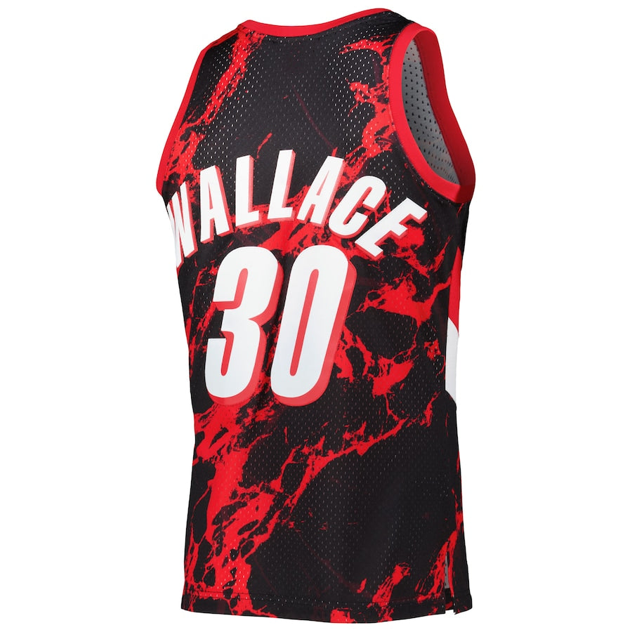 rasheed wallace mitchell and ness